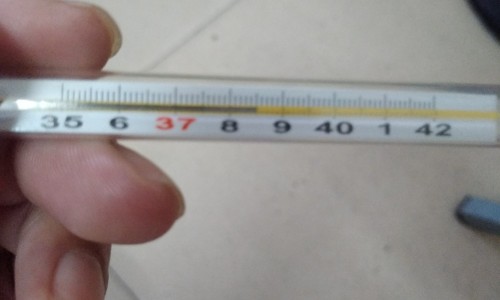 吃什么食物对肾好最快最有效-【吃什么食物对肾好最快最有效】吃什么食物能长胖最快 - 吃什么食物等于砒霜网